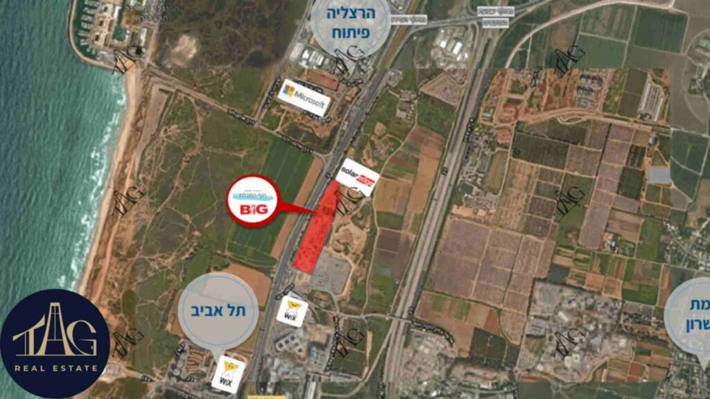 משרדים להשכרה באלייד סיטי